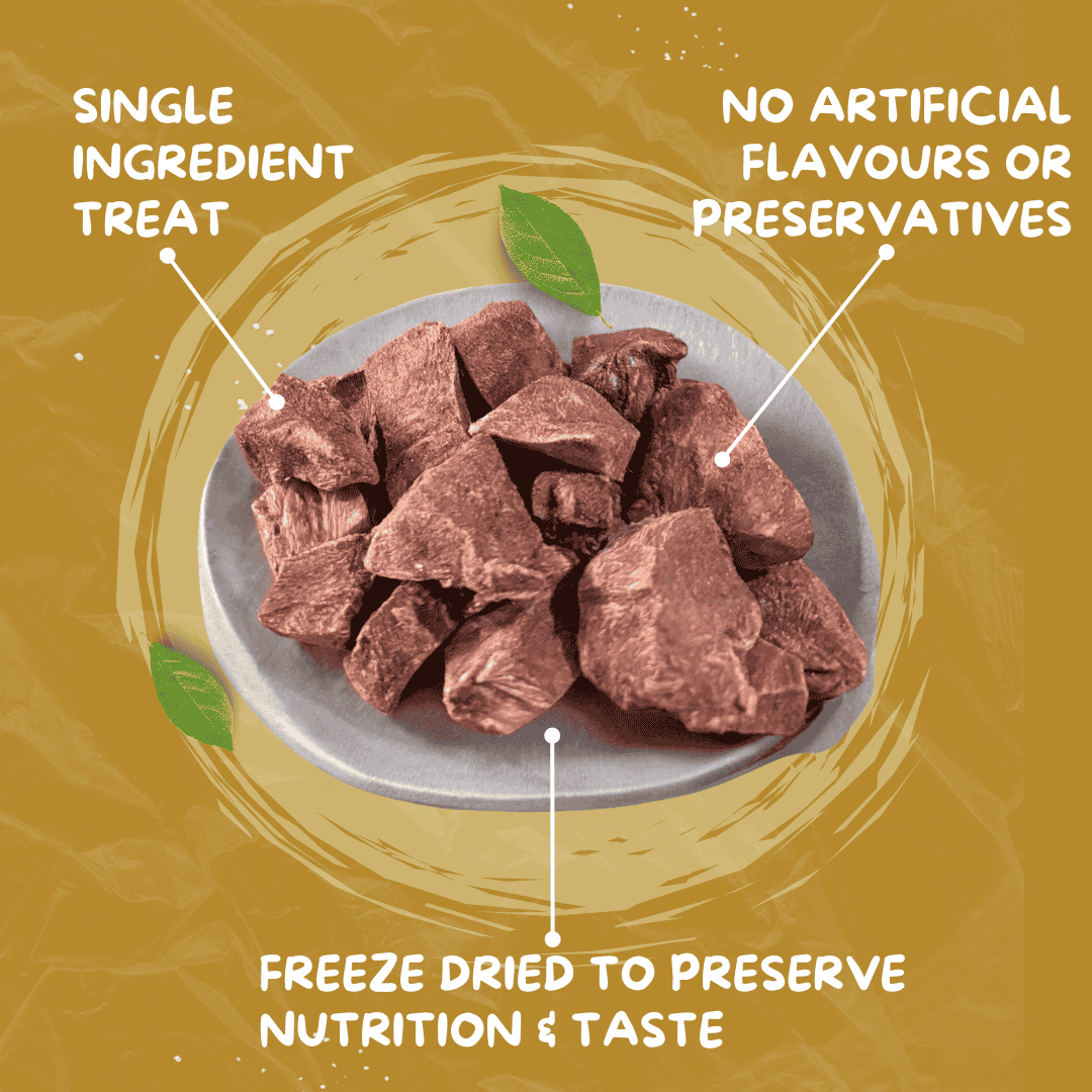 Freeze-dried pet treat with text highlighting single ingredient, no artificial flavors or preservatives, and freeze-drying process.