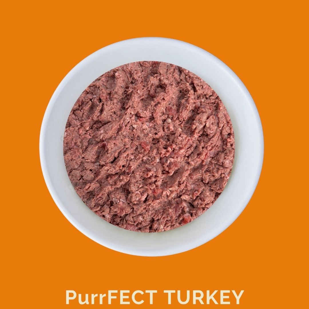 Raw turkey cat food in a bowl, showcasing the Purrfect Turkey recipe for healthy feline nutrition.