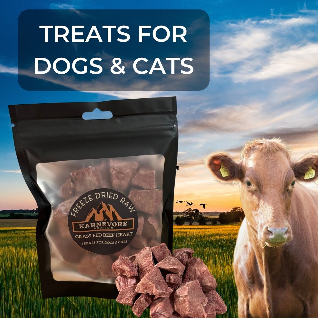 Image of Karnevore Mountain Great Lakes Smelt freeze dried raw cat and dog treats. Made from human grade, wild caught fish wild caught in the Great Lakes.