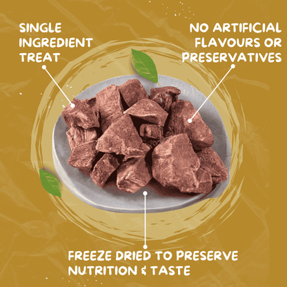 Freeze-dried pet treat with text highlighting single ingredient, no artificial flavors or preservatives, and freeze-drying process.