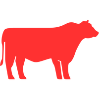 IRRESISTIBLE FLAVOUR