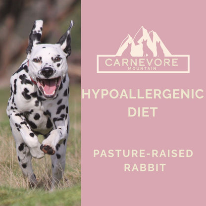 Hypoallergenic raw dog food featuring a Dalmatian running energetically, promoting a hypoallergenic diet with rabbit.
