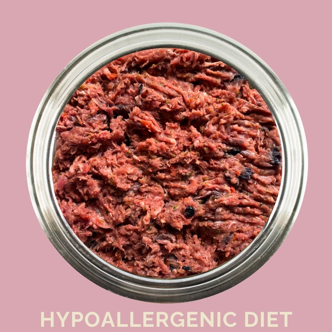 Dog food in a bowl of hypoallergenic raw dog food from Carnevore Mountain with a pink background.