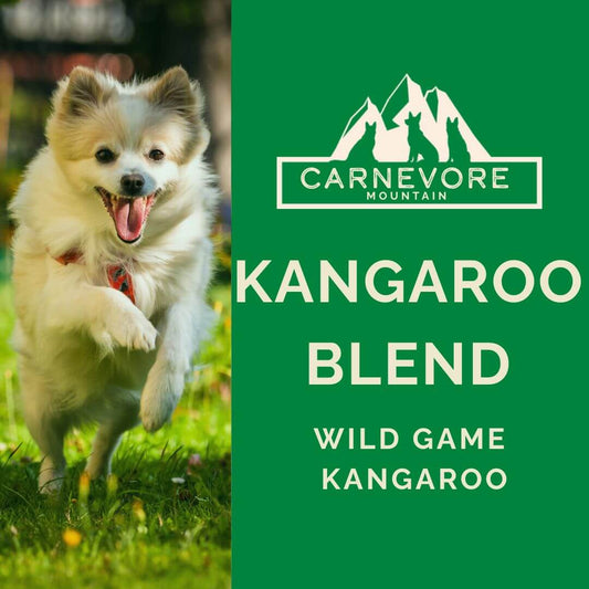 Kangaroo Raw Dog Food – Novel Protein Blend on display with a happy dog running outdoors.