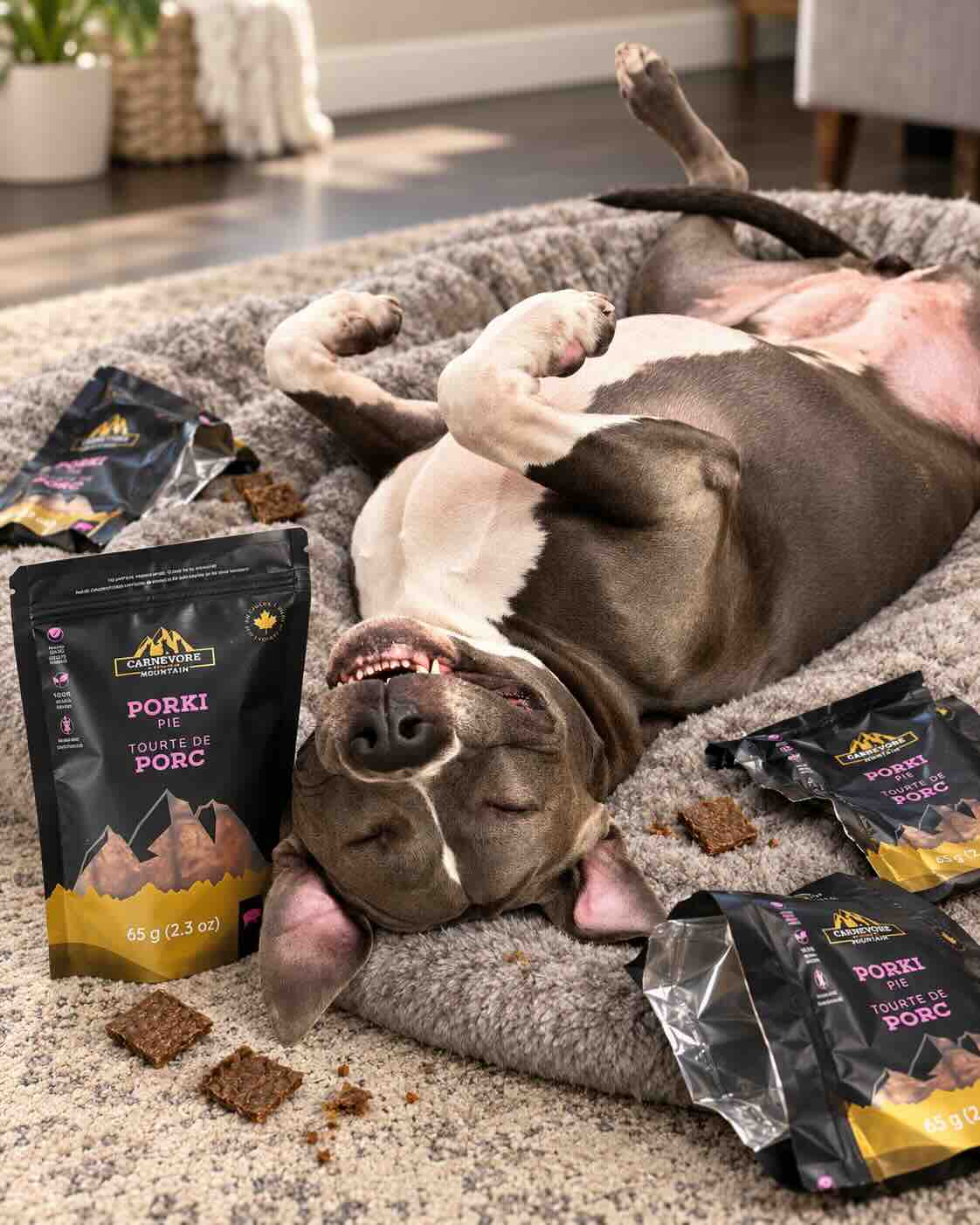 A pit bull lies belly-up on a grey dog bed, surrounded by bags of Carnevore Mountain Porki Pie treats.