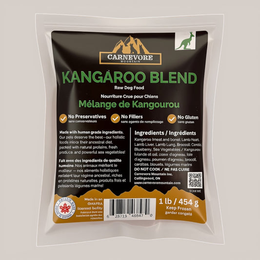 Carnevore Kangaroo Blend raw dog food package on a gray background