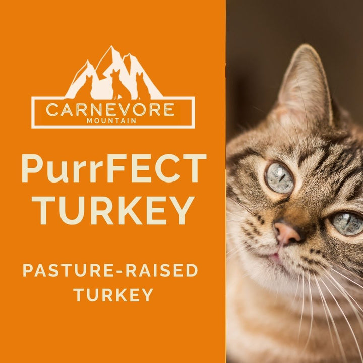Raw Turkey Cat Food – Purrfect Turkey Recipe