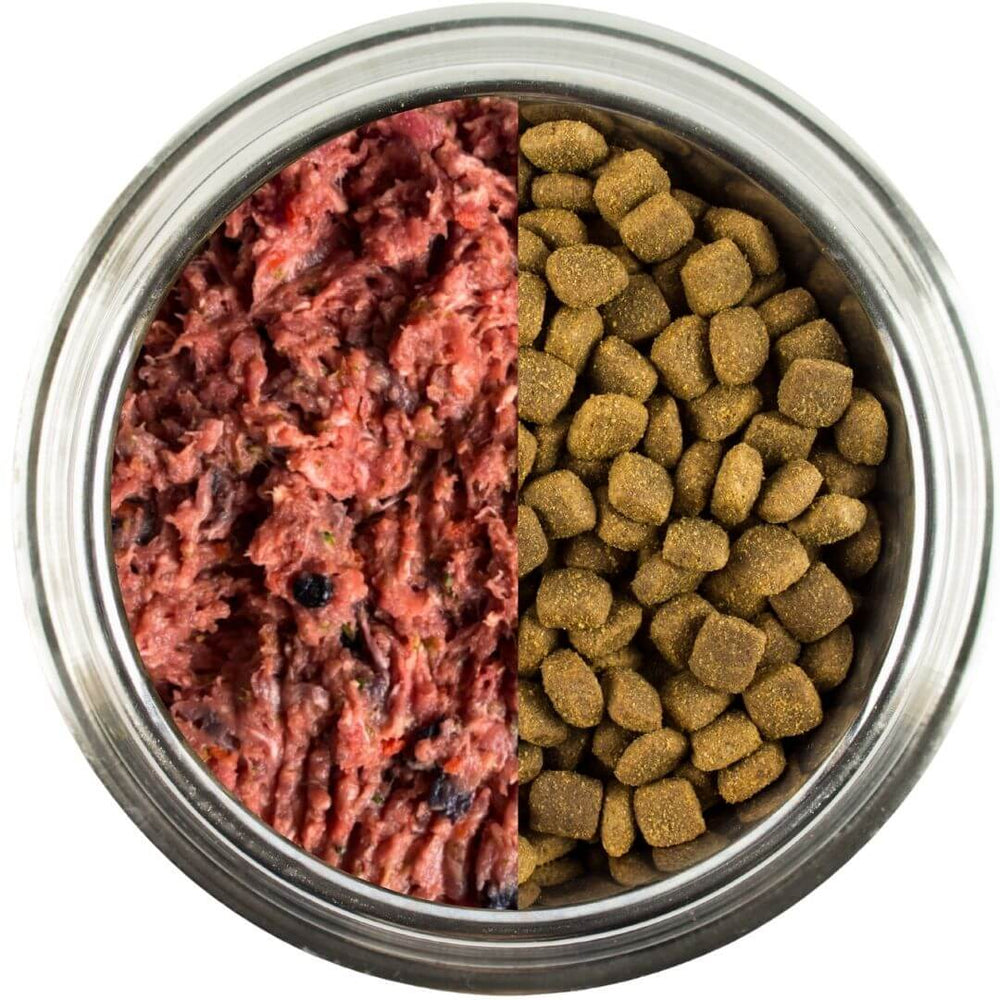 Raw food vs kibble comparison