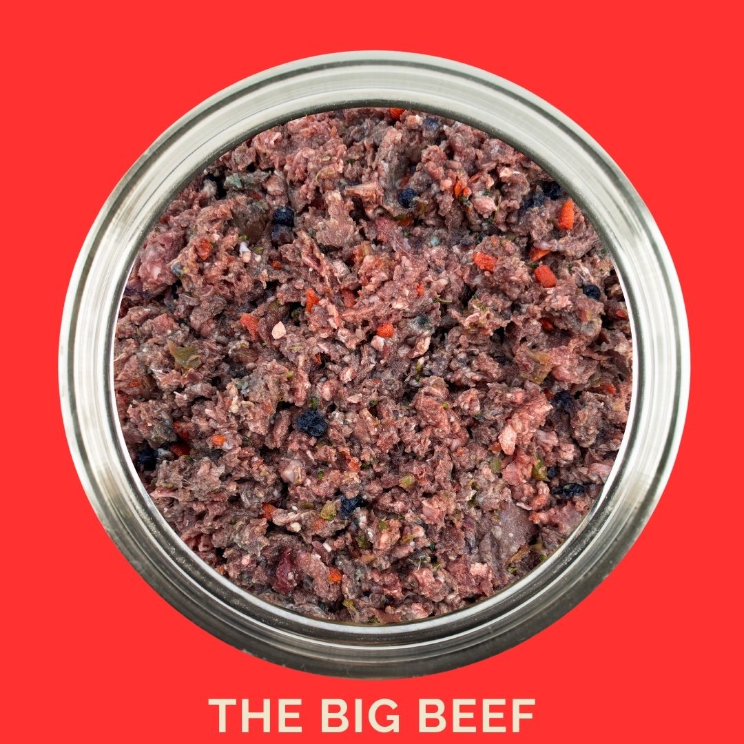 Raw beef dog food in a tin showcasing The Big Beef Recipe, made with nutrient-dense ingredients for optimal dog health.