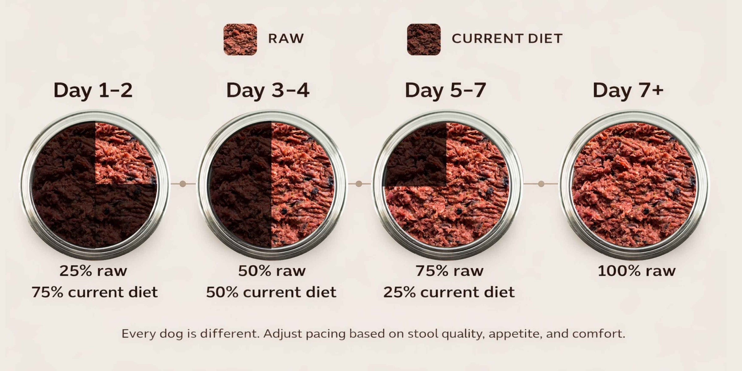 Visual guide showing a gradual transition from current food to raw food
