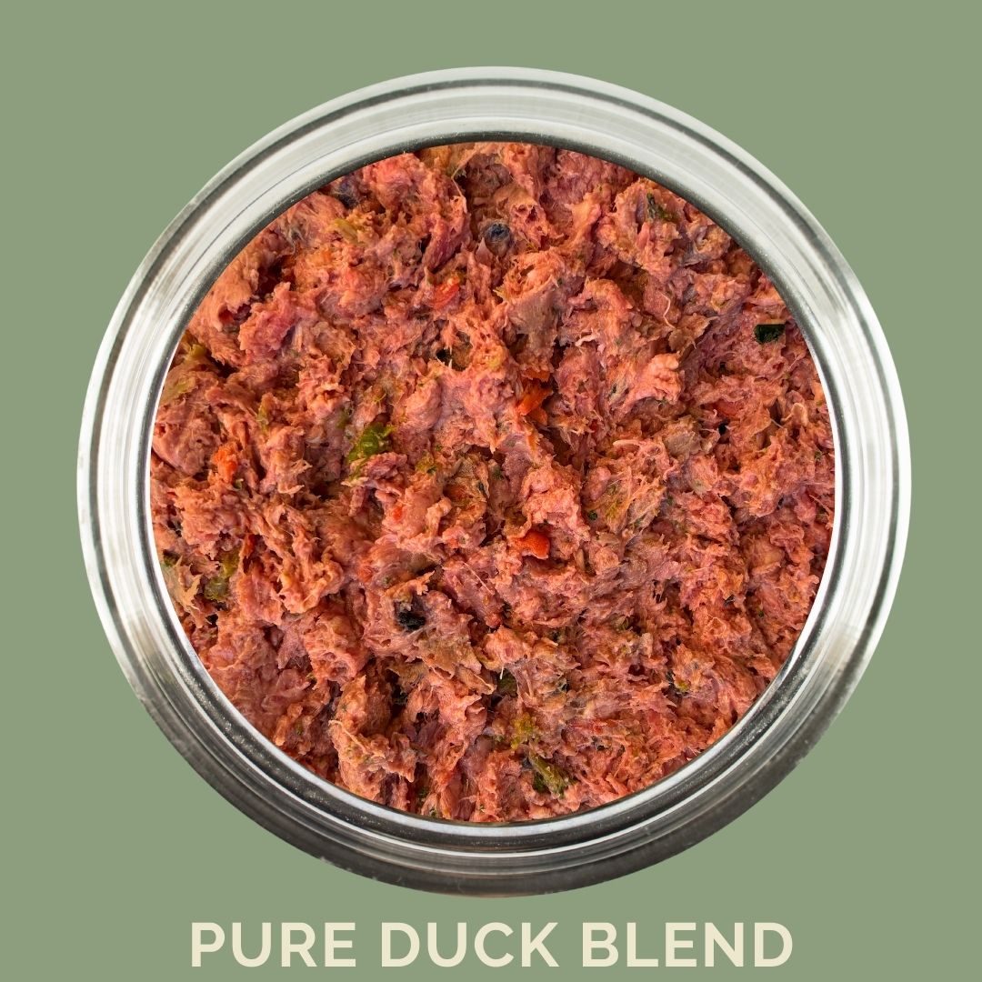 Raw Duck Dog Food – Pure Duck Blend in a jar, showcasing a nutritious meal option for dogs.