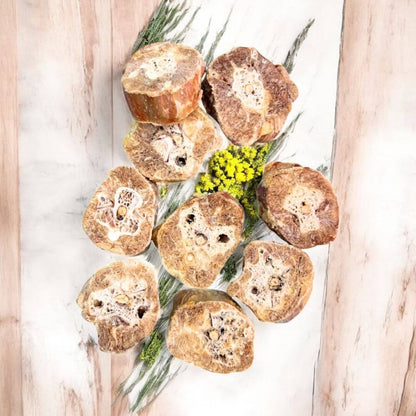 Turkey Neck Dog Treats – Freeze-Dried Medallions arranged on a wooden surface with greenery.