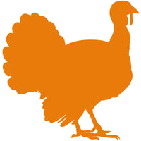 IRRESISTIBLE FLAVOUR