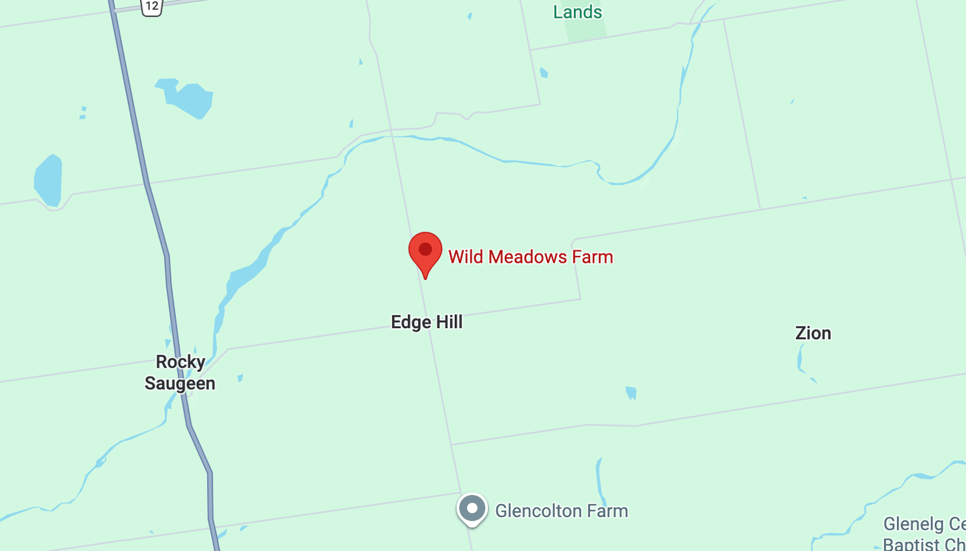 Wild Meadows Farm